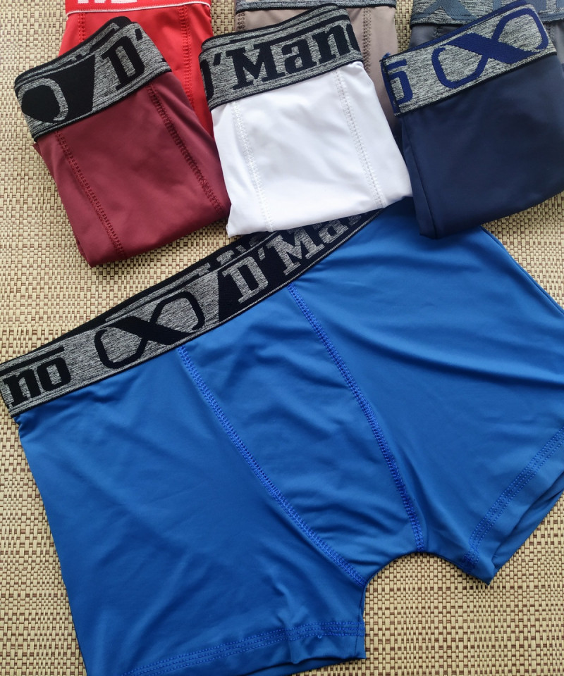 Cueca Boxer Microfibra Poliamida